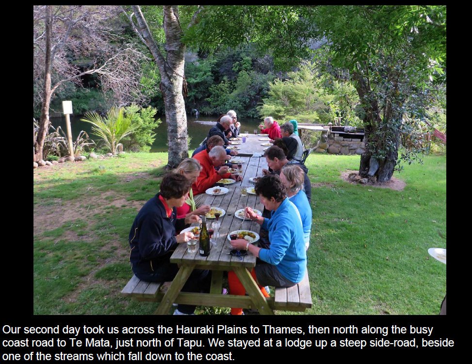 coro201504.jpg (301016 bytes)